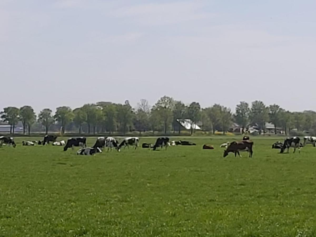 Luxe Gastenverblijf In Het Hart Van Friesland Akkrum Екстер'єр фото